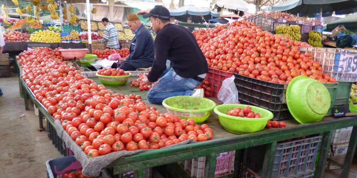 Il pomodoro marocchino sazierà l’Europa?